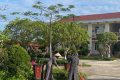 Lao động vệ sinh